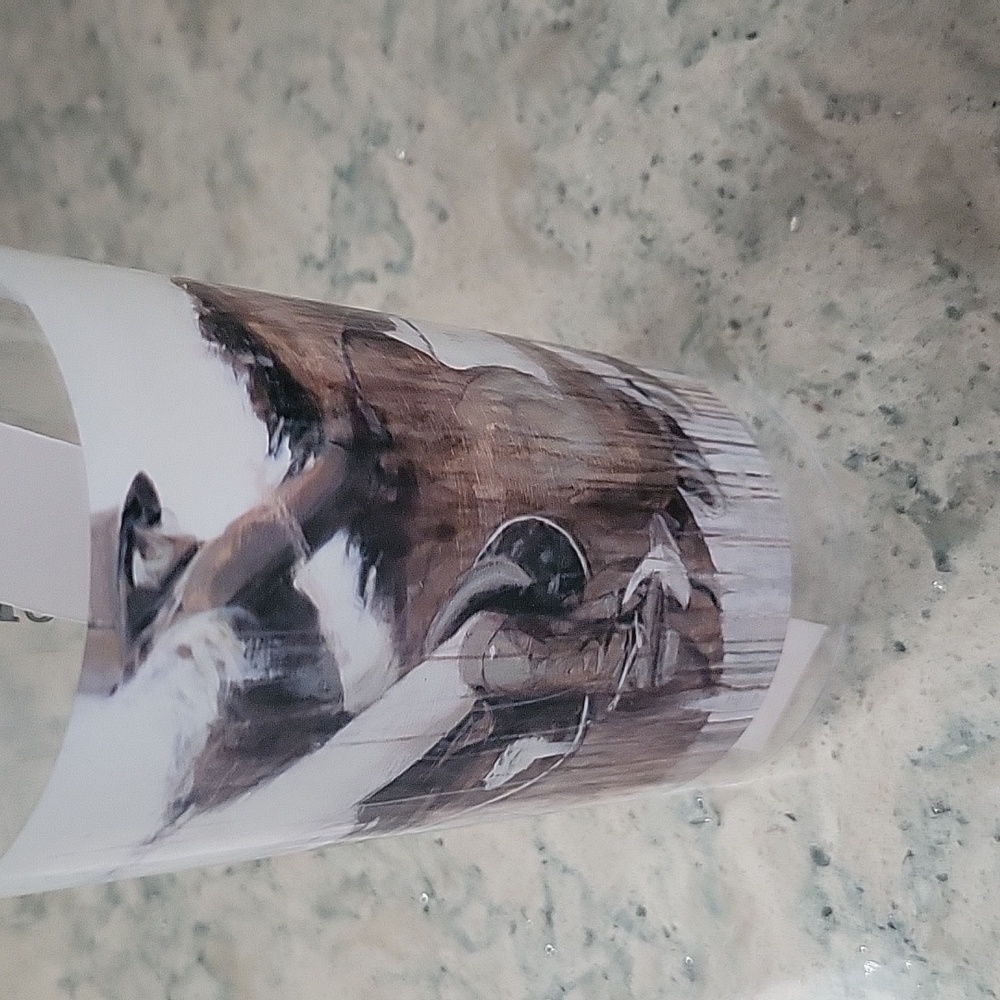 The Hampton Classic Horse Show Water Bottle Plastic BPA - FREE &  NEW 🐎💕 - Picture 4 of 7